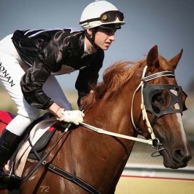 Horse Racing Pro: Horse Racing Pro