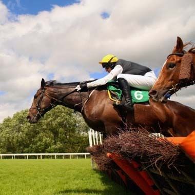 Horse Racing Pro: Horse Racing Pro