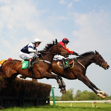 Horse Racing Pro: Horse Racing Pro