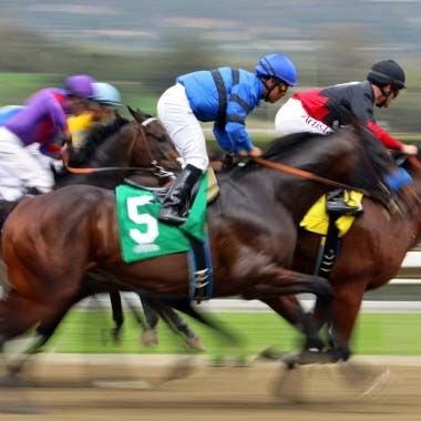 Horse Racing Pro: Horse Racing Pro