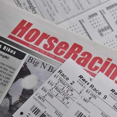 Horse Racing Pro: Horse Racing Pro