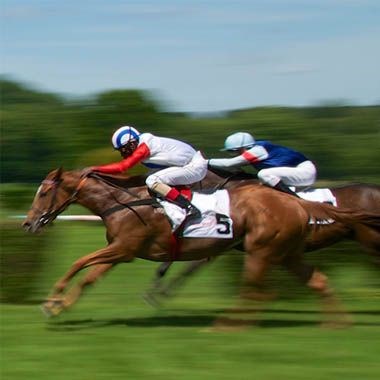 Horse Racing Pro: Horse Racing Pro